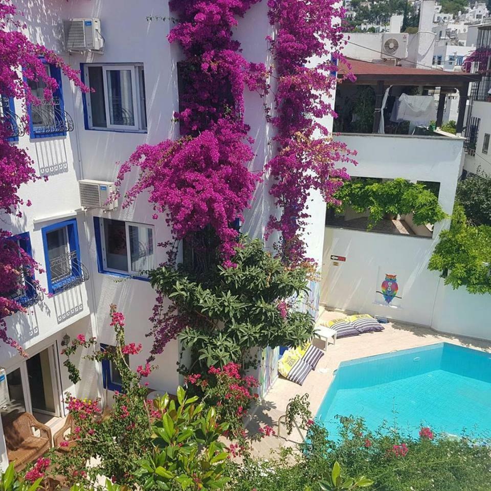 Eskici Hostel Bodrum Buitenkant foto